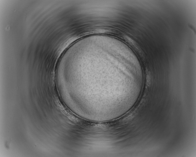 X0000100841178200807111144