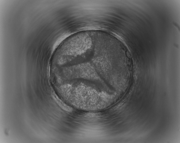 X0000100841179200807111144