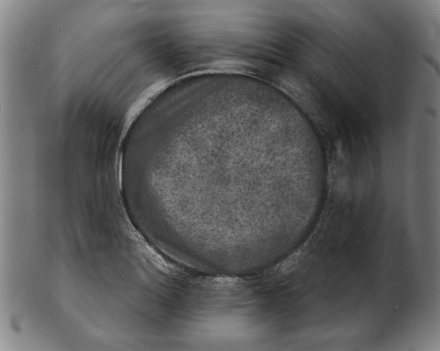 X0000100841180200807111144