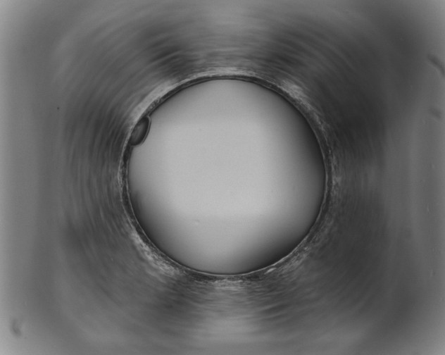 X0000100841181200807111144