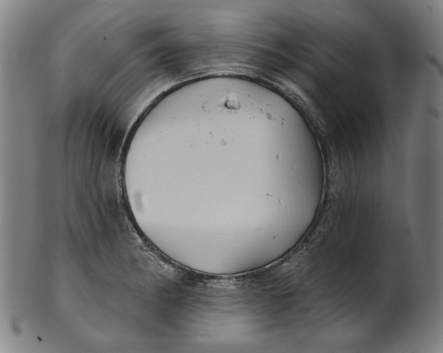 X0000100841182200807111144