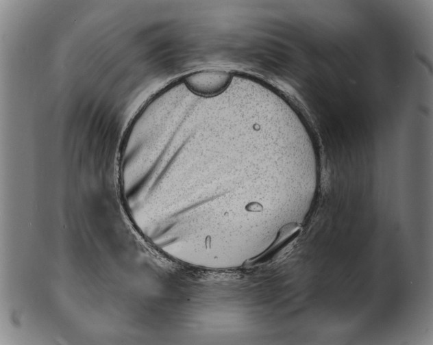 X0000100841183200807111144