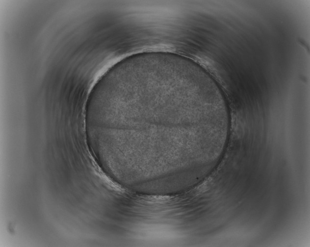 X0000100841184200807111144