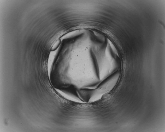 X0000100841185200807111144