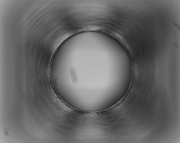 X0000100841186200807111144