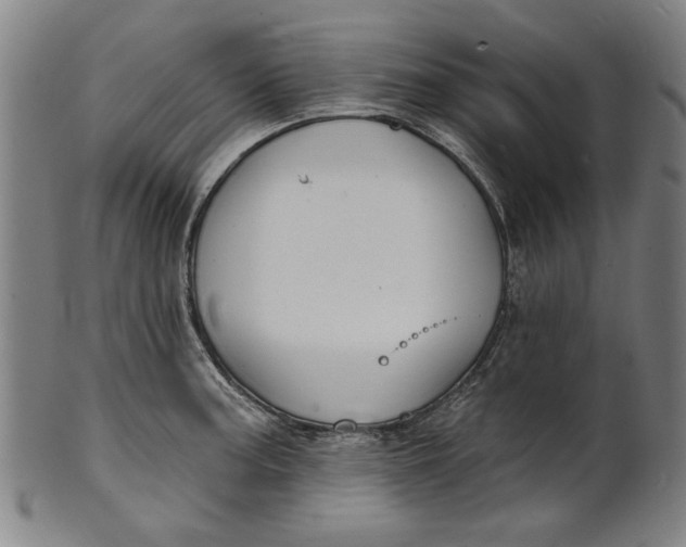 X0000100841187200807111144