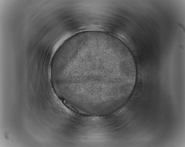 X0000100841188200807111144