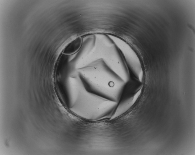 X0000100841189200807111144