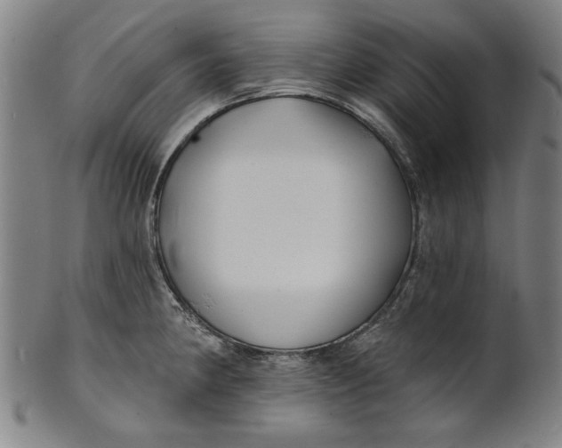 X0000100841190200807111144