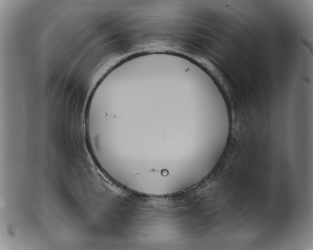 X0000100841191200807111144