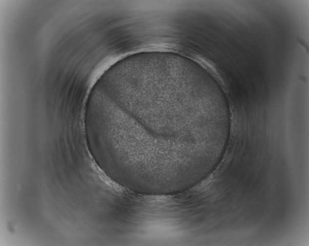 X0000100841192200807111144