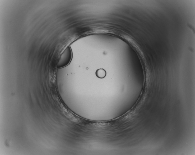 X0000100841193200807111144