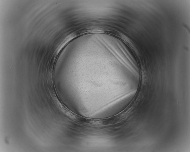 X0000100841194200807111144