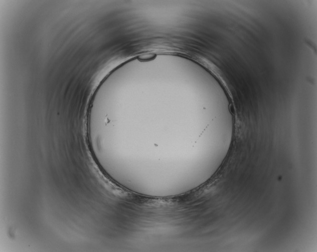 X0000100841195200807111144