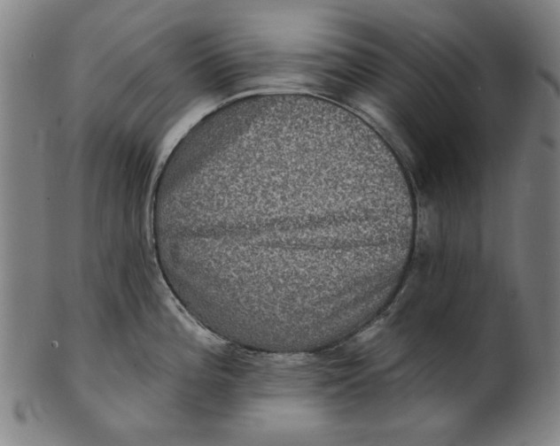 X0000100841196200807111144