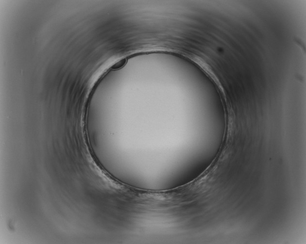 X0000100841197200807111144