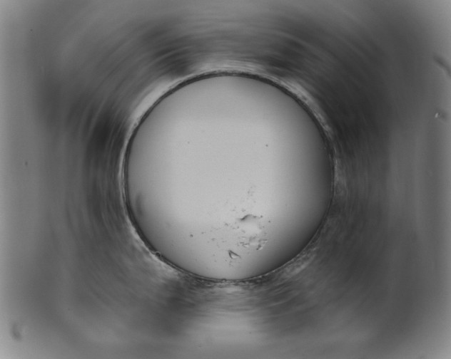 X0000100841199200807111144