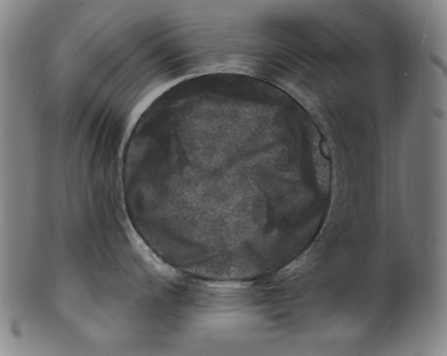 X0000100841200200807111144