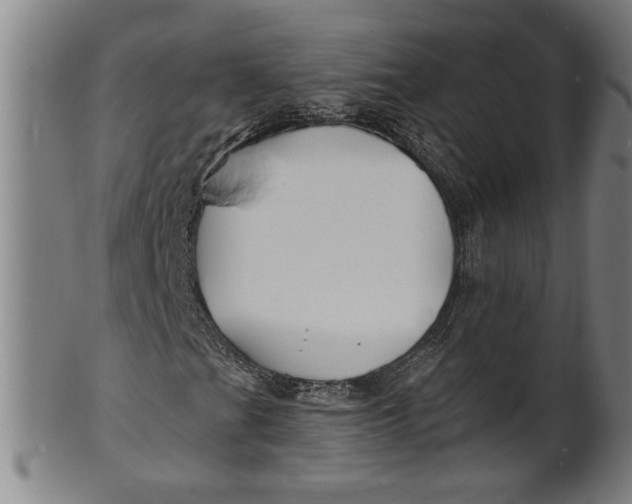 X0000100841201200807111143