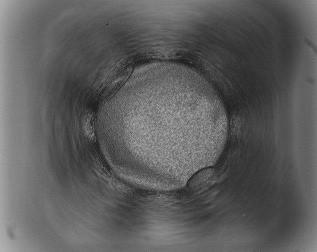 X0000100841202200807111143