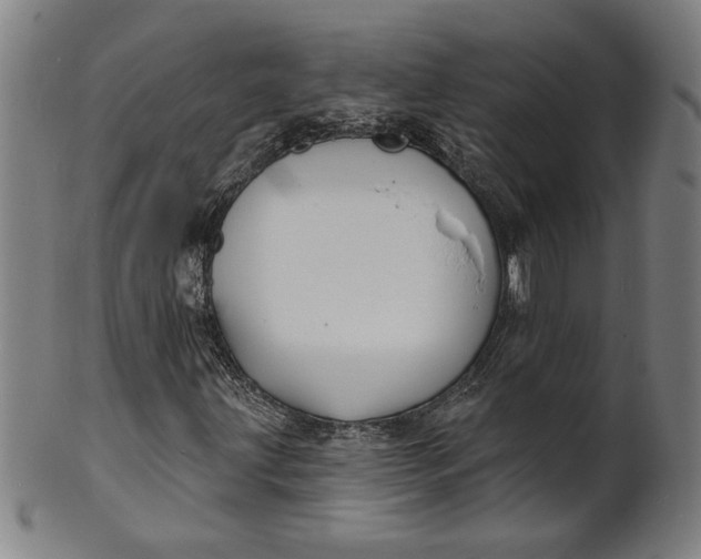 X0000100841203200807111143