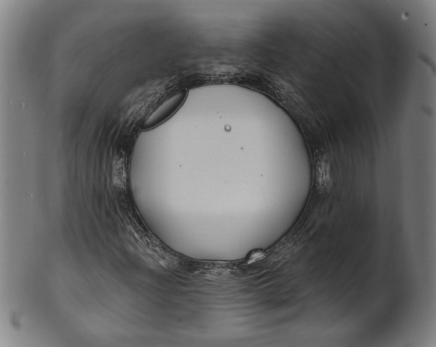 X0000100841204200807111143