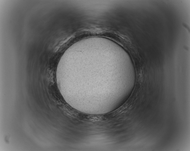 X0000100841205200807111143