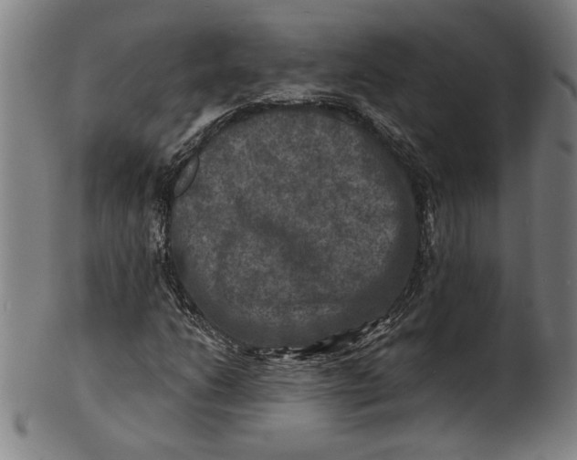 X0000100841206200807111143