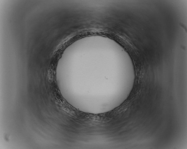 X0000100841207200807111143