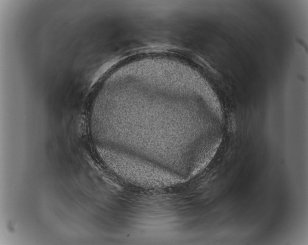 X0000100841208200807111143