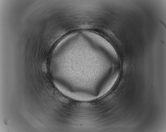 X0000100841209200807111143