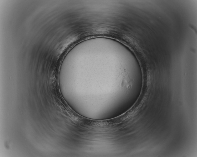 X0000100841210200807111143