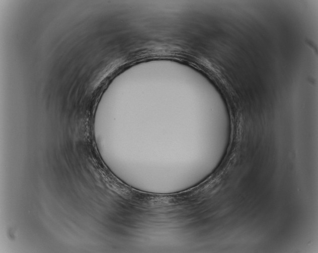 X0000100841211200807111143