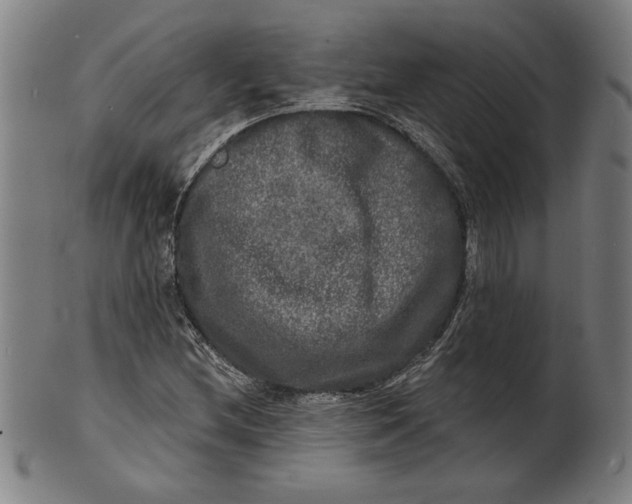 X0000100841212200807111143