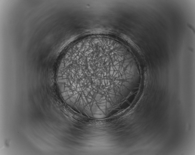 X0000100841213200807111143