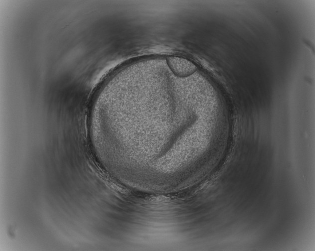 X0000100841214200807111143