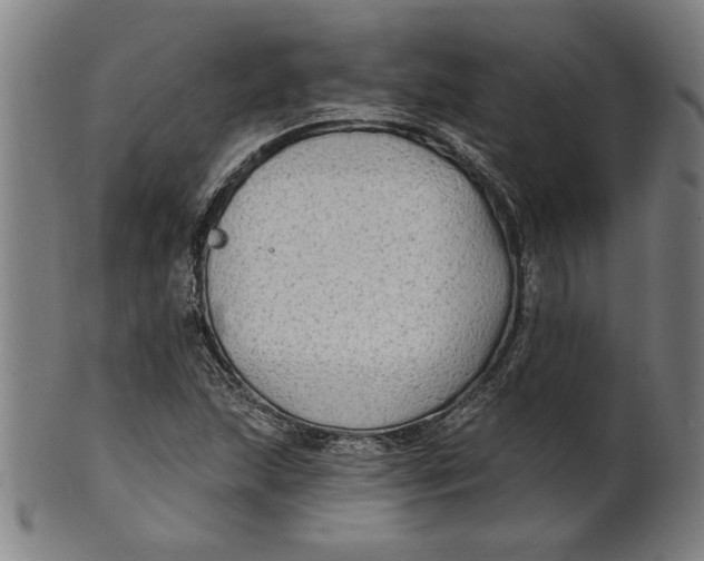 X0000100841215200807111143