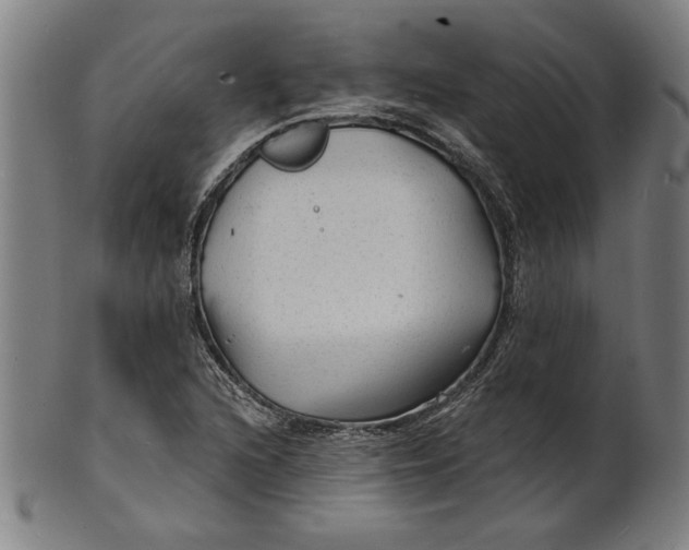 X0000100841216200807111143