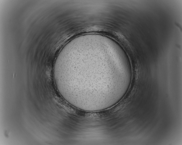 X0000100841217200807111143