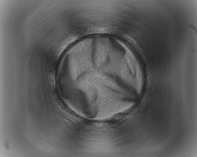 X0000100841218200807111143