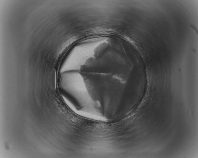 X0000100841219200807111143