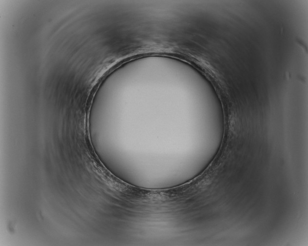 X0000100841220200807111143