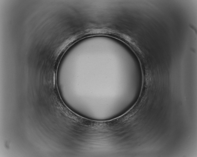 X0000100841221200807111143