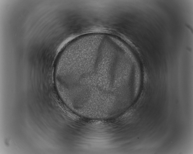 X0000100841222200807111143