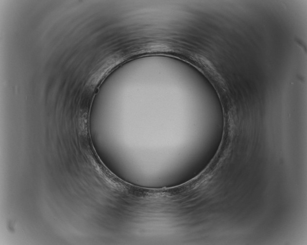 X0000100841225200807111143