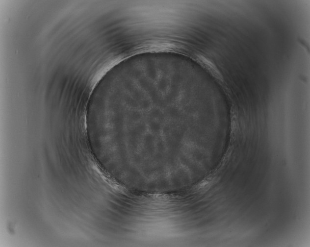 X0000100841226200807111143