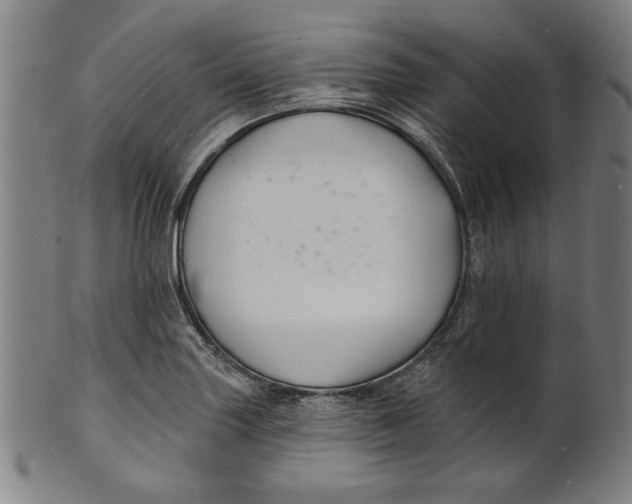 X0000100841227200807111143