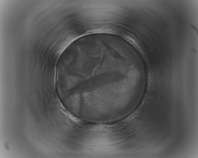 X0000100841228200807111143