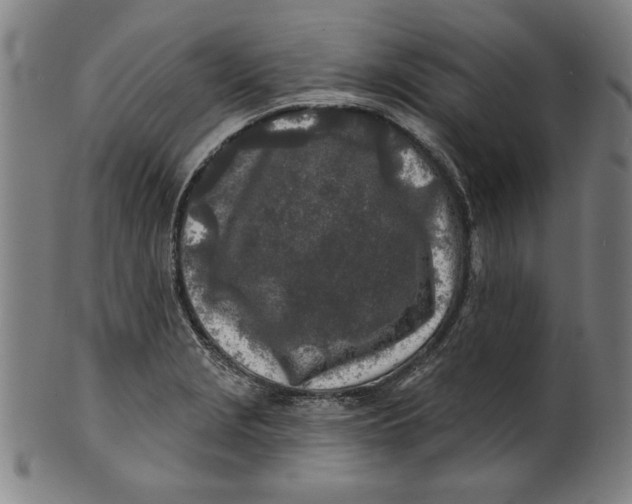 X0000100841229200807111143