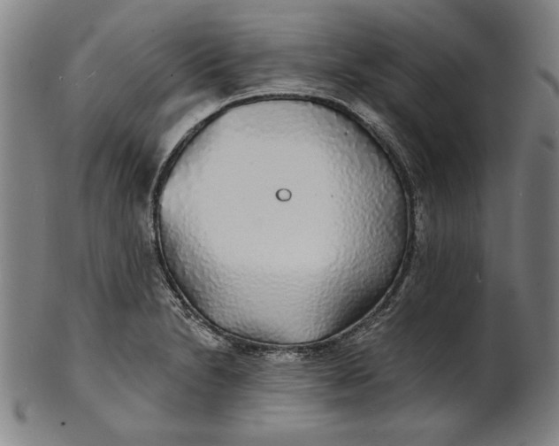 X0000100841230200807111143